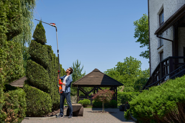 Fire Maintenance Around Homes and Properties: A Complete Guide to Creating a Safer Landscape